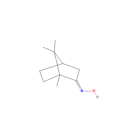 1,7,7-TRIMETHYLBICYCLO[2.2.1]HEPTAN-2-ONE OXIME (CAS: 13559-66-5) - Related Chemical Product