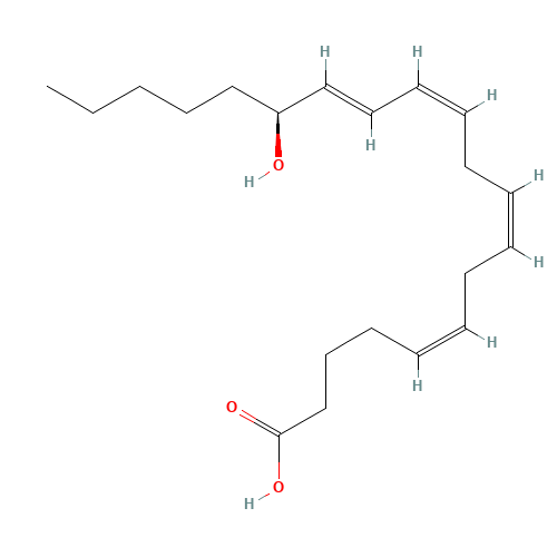 15(S)-HETE (CAS: 54845-95-3) - Chemical Structure and Molecular Formula 