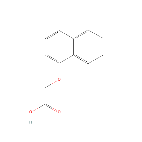 1-NAPHTHOXYACETIC ACID (CAS: 2976-75-2) - Related Chemical Product