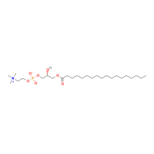 L-ALPHA-LYSOPHOSPHATIDYLCHOLINE,STEAROYL (CAS: 19420-57-6) - Related Chemical Product