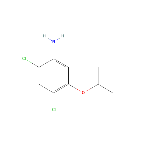 2,4-DICHLORO-5-ISOPROPOXYANILINE (CAS: 41200-96-8) - Related Chemical Product