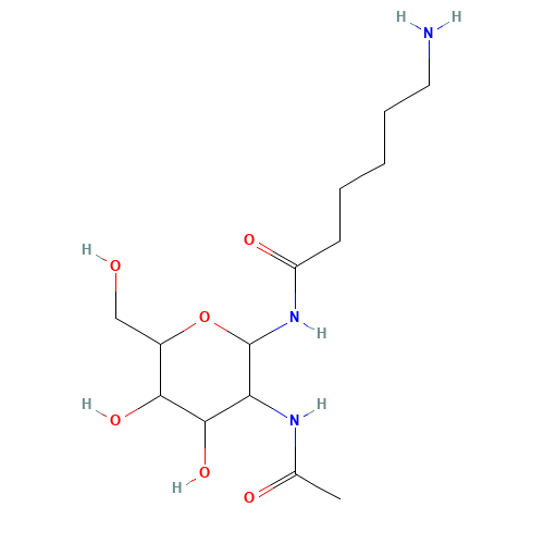 2-ACETAMIDO-N-(E-AMINOCAPROYL)-2-DEOXY-BETA-D-GLUCOPYRANOSYLAMINE (CAS: 112898-10-9) - Chemical Structure and Molecular Formula 