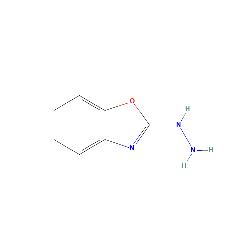 2-HYDRAZINO-1,3-BENZOXAZOLE (CAS: 15062-88-1) - Chemical Structure and Molecular Formula 