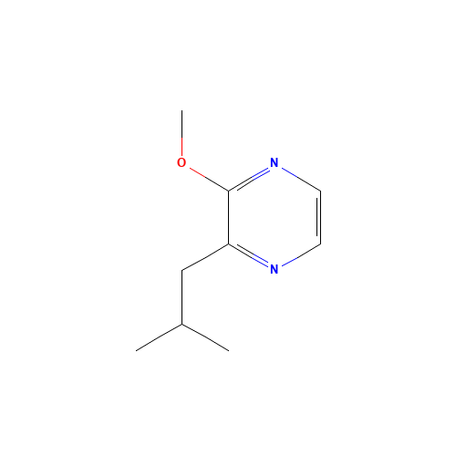 2-Methoxy-3-isobutyl pyrazine (CAS: 24683-00-9) - Related Chemical Product