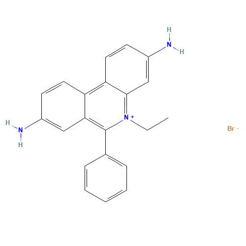 Ethidium bromide (CAS: 1239-45-8) - Related Chemical Product