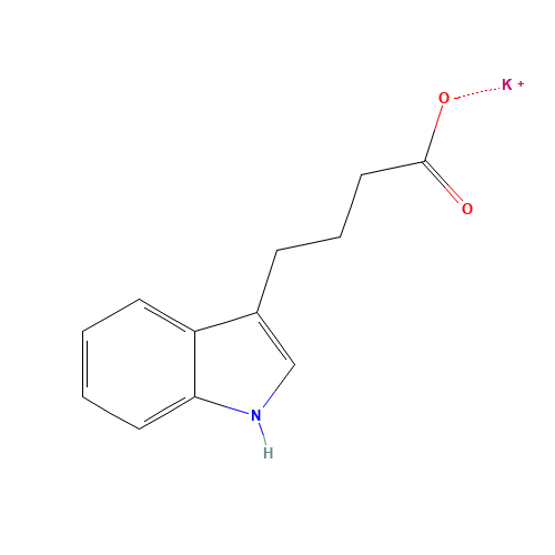 INDOLE-3-BUTYRIC ACID POTASSIUM SALT (CAS: 60096-23-3) - Related Chemical Product