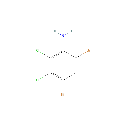 4,6-DIBROMO-2,3-DICHLOROANILINE (CAS: 113571-15-6) - Related Chemical Product