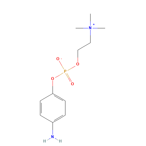 4-AMINOPHENYLPHOSPHORYLCHOLINE (CAS: 102185-28-4) - Related Chemical Product