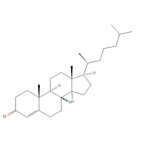 4-Cholesten-3-one (CAS: 601-57-0) - Related Chemical Product