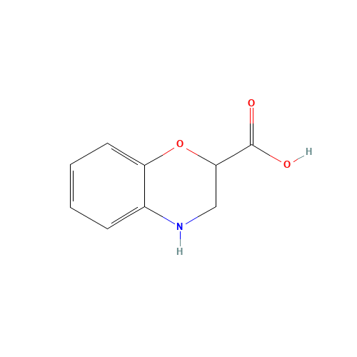 3,4-DIHYDRO-2H-1,4-BENZOXAZINE-2-CARBOXYLIC ACID (CAS: 90563-93-2) - Chemical Structure and Molecular Formula 