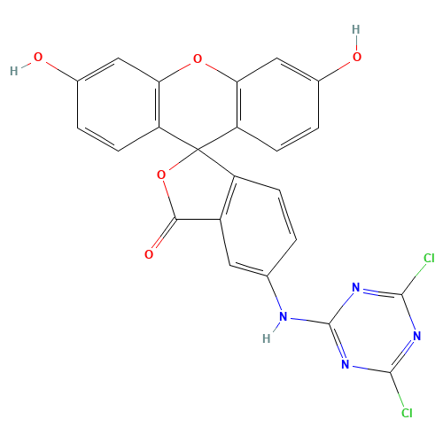 5-(4,6-DICHLORO-S-TRIAZIN-2-YLAMINO)FLUORESCEIN-HYDROCHLORIDE (CAS: 51306-35-5) - Chemical Structure and Molecular Formula 
