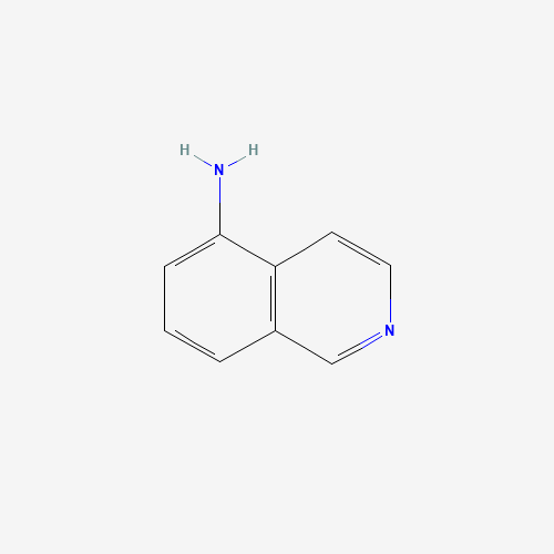5-Aminoisoquinoline (CAS: 1125-60-6) - Related Chemical Product