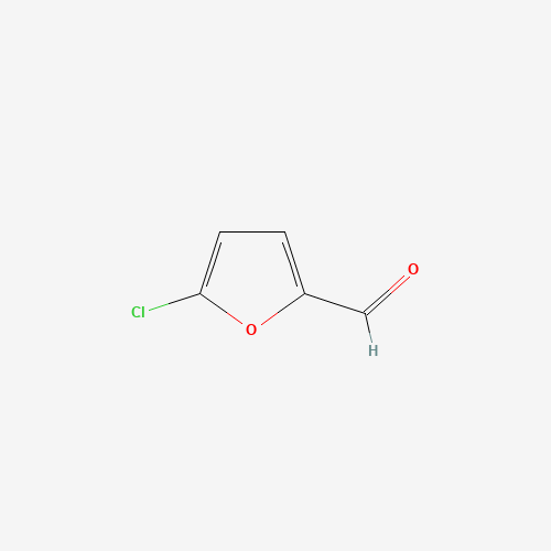 5-CHLORO-2-FURALDEHYDE (CAS: 21508-19-0) - Related Chemical Product