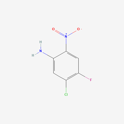 5-CHLORO-4-FLUORO-2-NITROANILINE (CAS: 104222-34-6) - Related Chemical Product