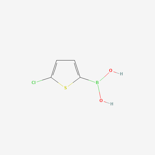 5-Chlorothiophene-2-boronic acid (CAS: 162607-18-3) - Related Chemical Product