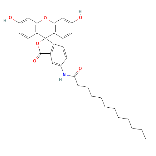 5-Dodecanoylaminofluorescein (CAS: 107827-77-0) - Related Chemical Product