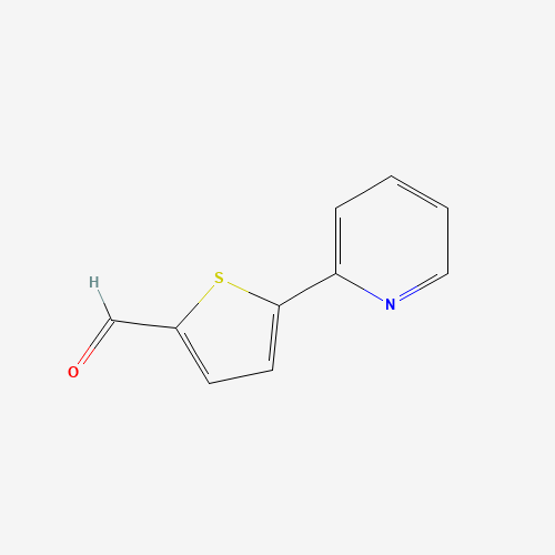 5-PYRIDIN-2-YLTHIOPHENE-2-CARBALDEHYDE (CAS: 132706-12-8) - Related Chemical Product