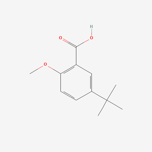 4-TERT-BUTYL-2-ETHOXY-BENZOIC ACID (CAS: 73469-54-2) - Chemical Structure and Molecular Formula 