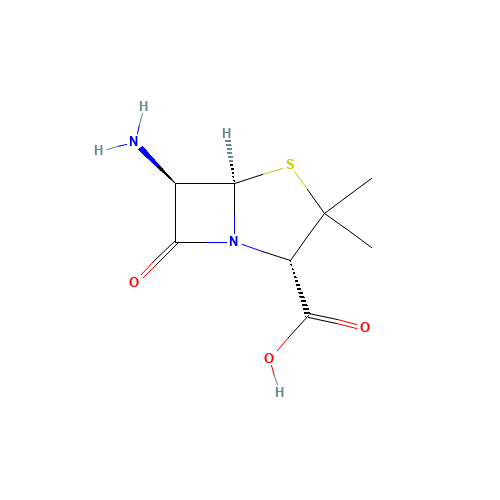 6-Aminopenicillanic acid (CAS: 551-16-6) - Related Chemical Product