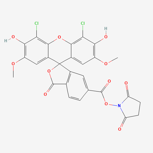 6-CARBOXY-4',5'-DICHLORO-2',7'-DIMETHOXYFLUORESCEIN,SUCCINIMIDYL ESTER (CAS: 113394-23-3) - Related Chemical Product