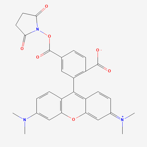 6-Carboxytetramethylrhodamine succinimidyl ester (CAS: 150810-69-8) - Related Chemical Product