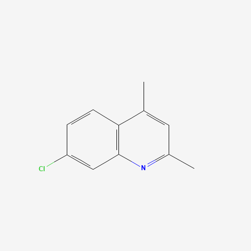 7-CHLORO-2,4-DIMETHYLQUINOLINE (CAS: 88499-96-1) - Related Chemical Product