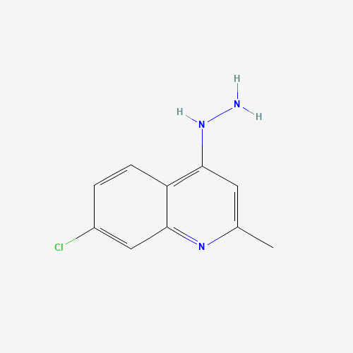 7-CHLORO-4-HYDRAZINO-2-METHYLQUINOLINE (CAS: 97892-66-5) - Related Chemical Product