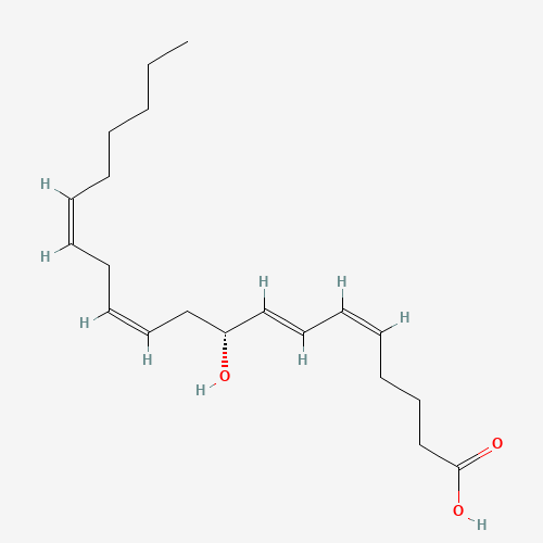 9(R)-HETE (CAS: 107656-14-4) - Related Chemical Product