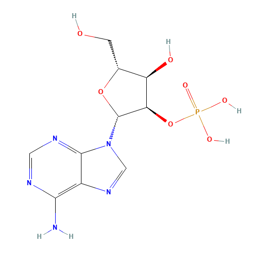 ADENOSINE 2'-3'-MONOPHOSPHATE FREE (CAS: 130-49-4) - Chemical Structure and Molecular Formula 