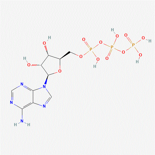 FT-0621909 CAS:56-65-5 chemical structure
