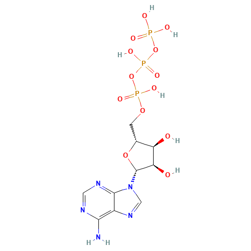 Adenosine triphosphate (CAS: 56-65-5) - Chemical Structure and Molecular Formula 