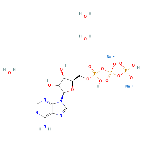 Adenosine 5'-triphosphate disodium salt (CAS: 51963-61-2) - Related Chemical Product