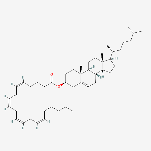 CHOLESTERYL ARACHIDONATE (CAS: 604-34-2) - Related Chemical Product