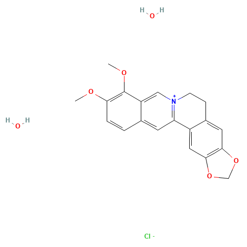 BERBERINE CHLORIDE DIHYDRATE (CAS: 5956-60-5) - Related Chemical Product