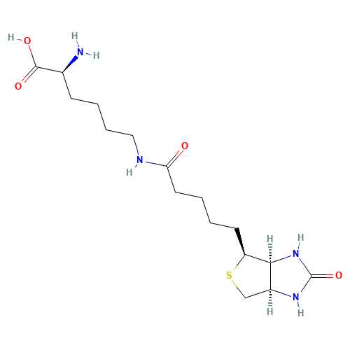 Biocytin (CAS: 576-19-2) - Related Chemical Product