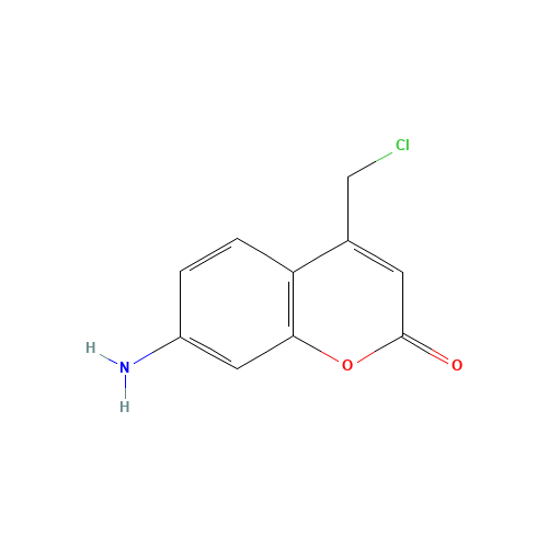 7-AMINO-4-CHLOROMETHYLCOUMARIN (CAS: 147963-22-2) - Related Chemical Product