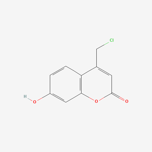 4-(CHLOROMETHYL)-7-HYDROXY-2H-CHROMEN-2-ONE (CAS: 25392-41-0) - Related Chemical Product