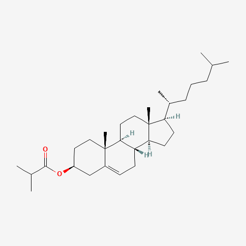 CHOLESTERYL ISO-BUTYRATE (CAS: 1180-43-4) - Related Chemical Product