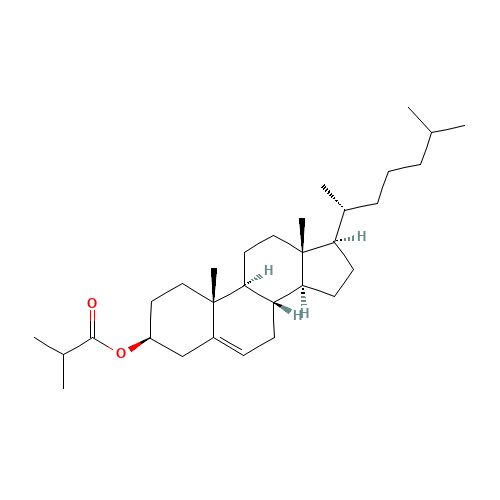 CHOLESTERYL ISO-BUTYRATE (CAS: 1180-43-4) - Related Chemical Product
