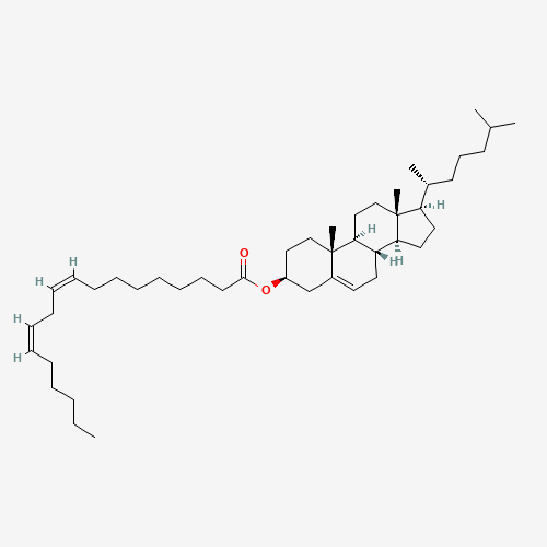 Cholesteryl linoleate (CAS: 604-33-1) - Related Chemical Product