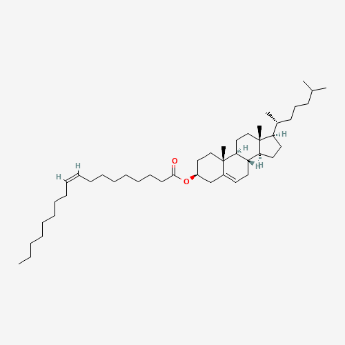Cholesteryl oleate (CAS: 303-43-5) - Related Chemical Product