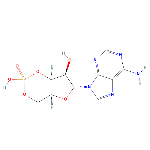 Cyclic AMP (CAS: 60-92-4) - Related Chemical Product