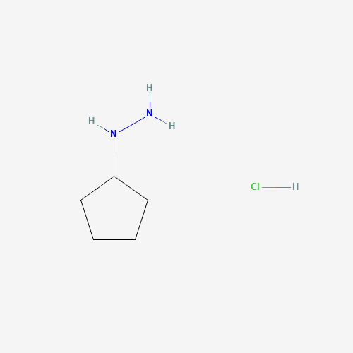 Cyclopentylhydrazine hydrochloride (CAS: 24214-72-0) - Related Chemical Product