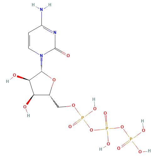 CYTIDINE-5'-TRIPHOSPHATE DISODIUM SALT (CAS: 123334-07-6) - Related Chemical Product