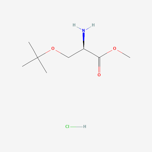 O-tert-Butyl-D-serine methyl ester hydrochloride (CAS: 78537-14-1) - Chemical Structure and Molecular Formula 