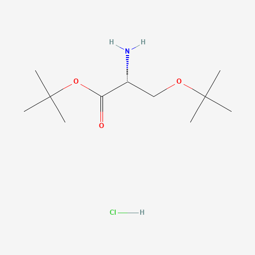 H-D-SER(TBU)-OTBU HCL (CAS: 179559-35-4) - Chemical Structure and Molecular Formula 