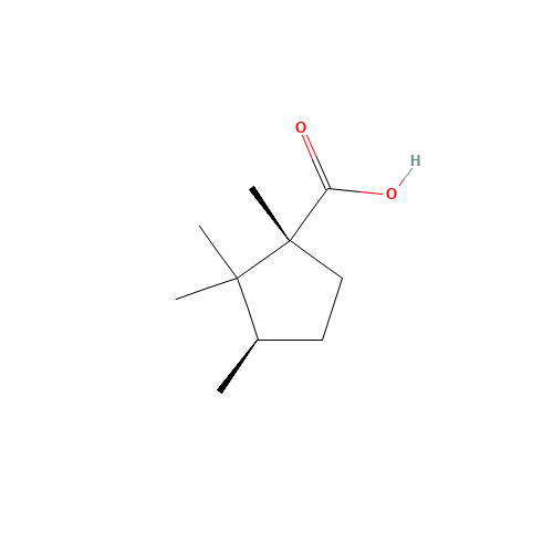 D-CAMPHOLIC ACID (CAS: 31147-56-5) - Related Chemical Product
