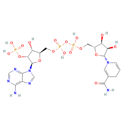 25 MG-NICOTINAMIDE ADENINE DINUCLEOTIDEPHOSPHATE REDUCED.NA4-SALT AN.GR. (CAS: 53-57-6) - Related Chemical Product