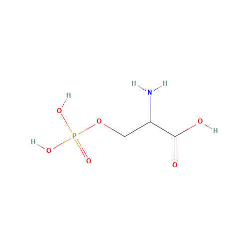 O-PHOSPHO-L-SERINE (CAS: 17885-08-4) - Related Chemical Product