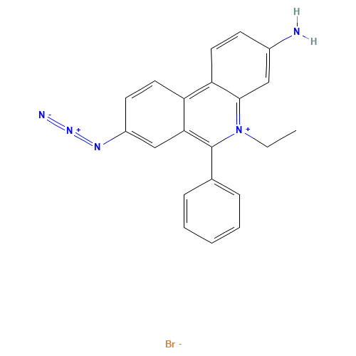 ETHIDIUM MONOAZIDE BROMIDE (CAS: 58880-05-0) - Related Chemical Product